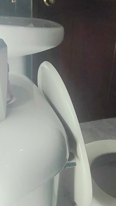 Stepsister Trapped in Public Toilet with Skirt and Sheer | Clip 1