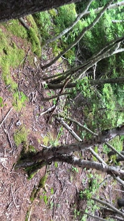 Rock wood park