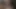 Mr POV 2525
