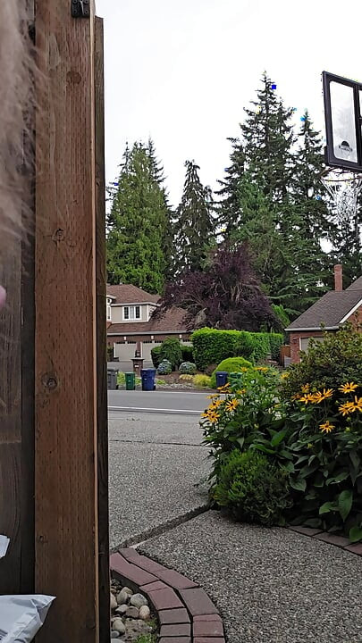 Overcast Morning and Backyard Coffee