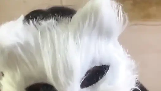 Today I'm a Naughty Kitten Who Wants Milk