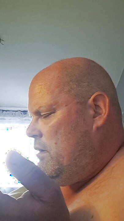 The Destroyed Bitch 2