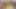 605570628