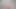 Tiny4k Christmas present dildo used before morning fuck