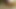 Wife sucking my huge cock