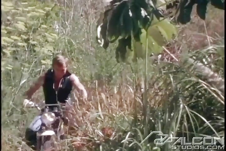 Dirt Bikes