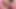 Anal Transex Blonde