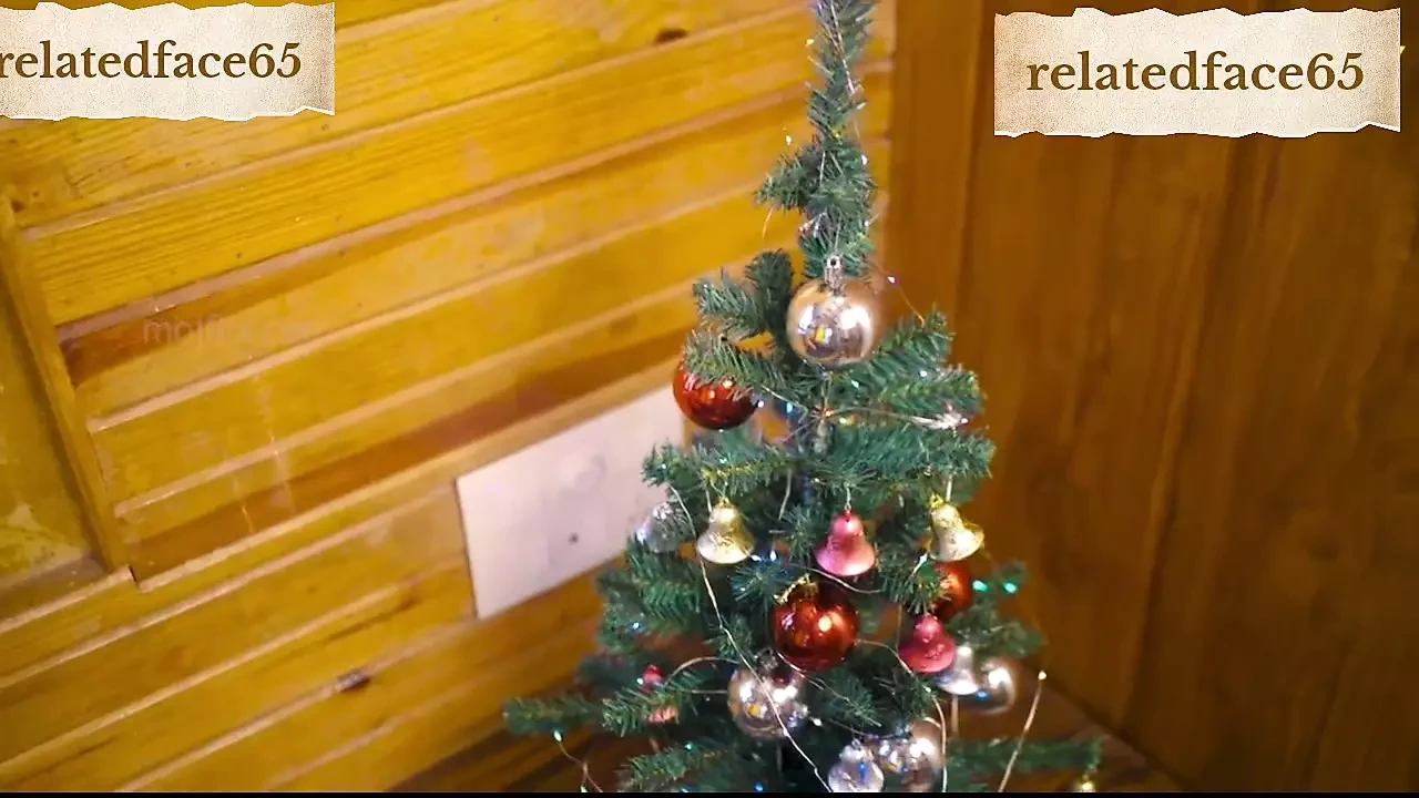 Desi Indian Couple's Having Sex All Night on Christmas Night