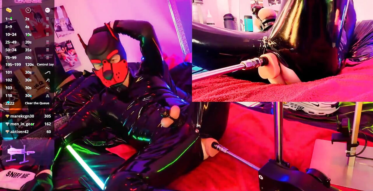 Nicolaus Rubber Show with Pet Mask
