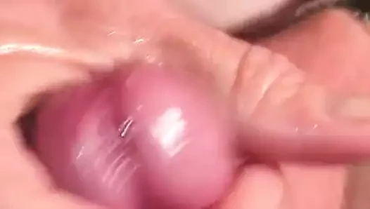 kriko horoz