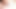 十代の女の子は彼女の油性の若い猫をこすります
