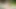 Borç4k. gelini beceriyor