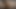 إباحية الهمونغ 18