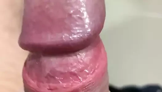 Asya horoz Taylandlı küçük horoz bakire horoz