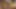 Lezbiyen busty babes 80'lerin parmak