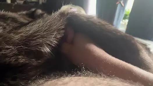 Raccoon fur coat stroke