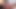Sofi slides a glass dildo deep into her fur