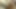 hairymaturefuck2