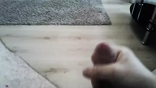 Theboolo