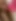 sexy girl fuck with bf in sleep cream pie squirting pussy viral mms indian desi girl Anal fuck
