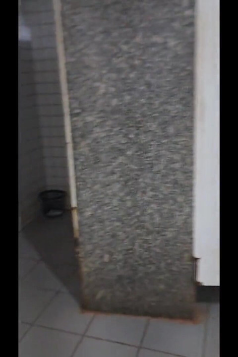 I Took Advantage of the Public Restroom to Put It All in