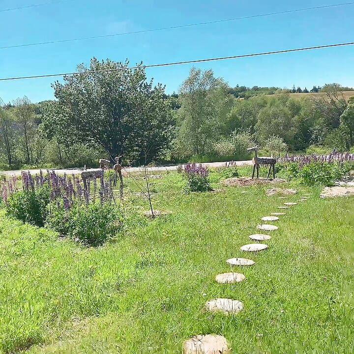 pișare pentru rezervorul de afară