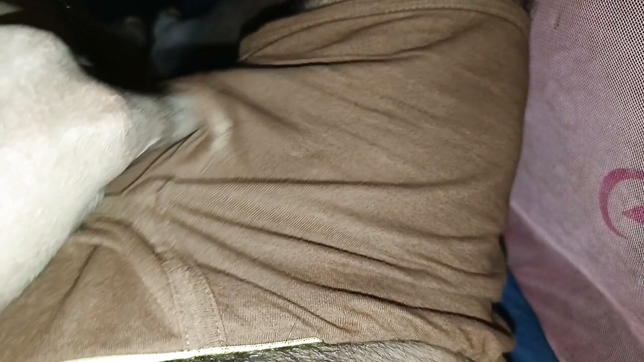 Gifdub hoggj
