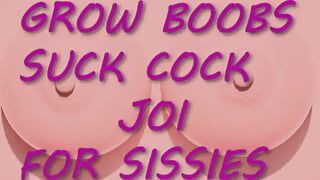 Das ultimative Sissy-spiel wächst deine möpse, Sissy Bois, JOI Style wichsen, inklusive