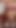 Heyecanlı an "Vr bangers – yeni yıl, yeni kedi"