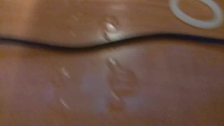 Video 20171103 002358.mp4