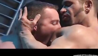 Alpha