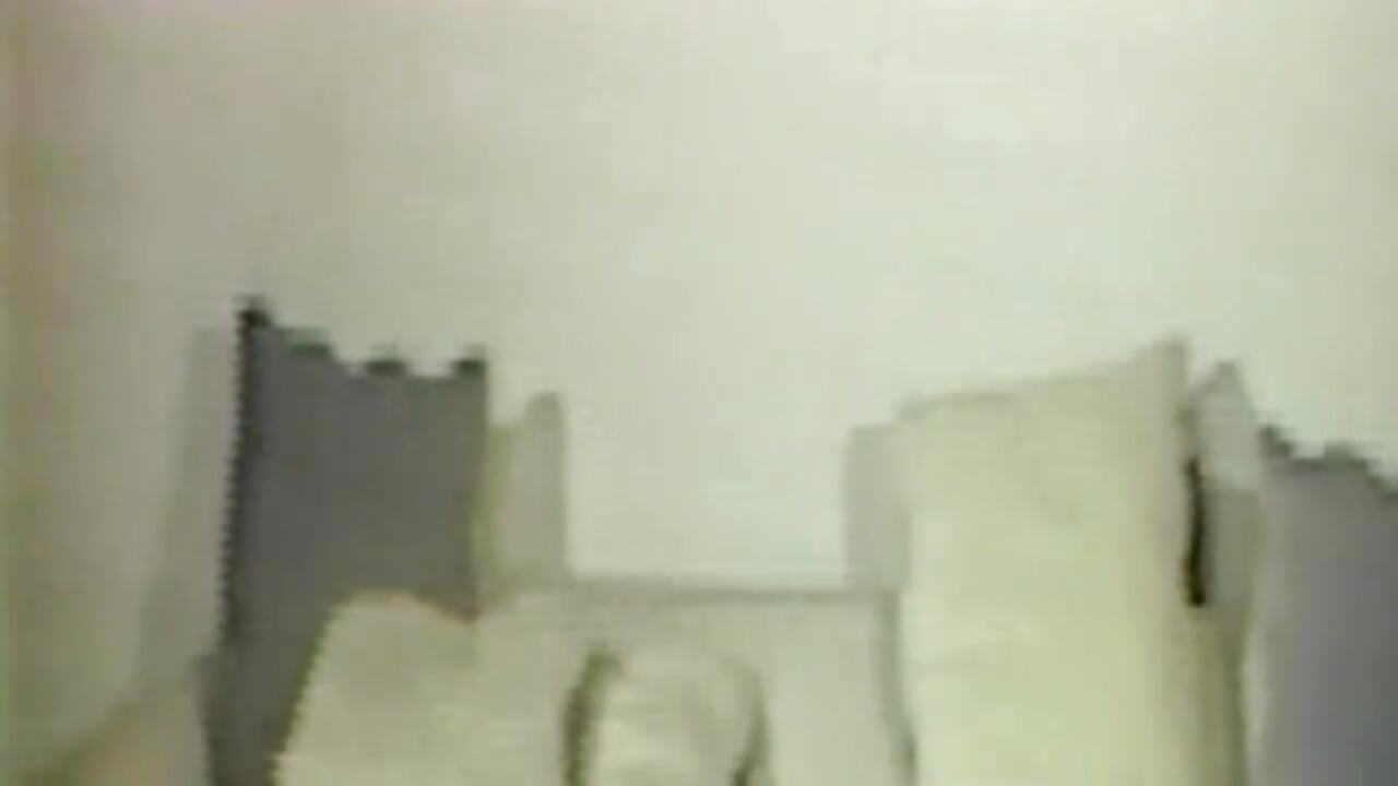 Klasične tučnjave mačaka - 2. dio