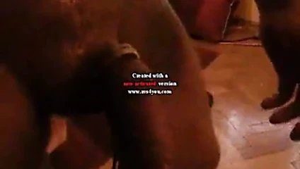 mein dicker schwanz