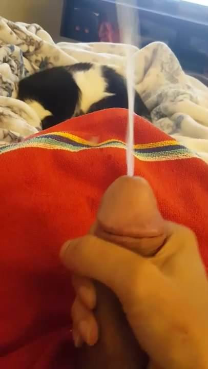 new cumshot