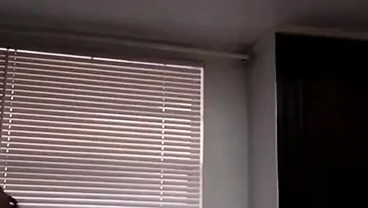 Stream