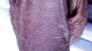 Un salope montre sa belle bite noire