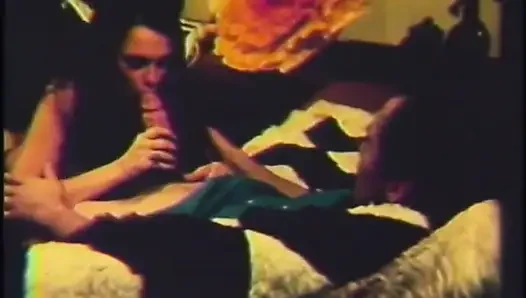 Sexy young girl in a vintage hard sex scene
