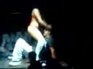 Perreo Show oso