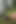 Twink Jon Arteen Shoves a Multi-ball Dildo in His Virgin Boy Asshole, but Gets Caught by Men Who Think Gays Are Fucking Outdoors