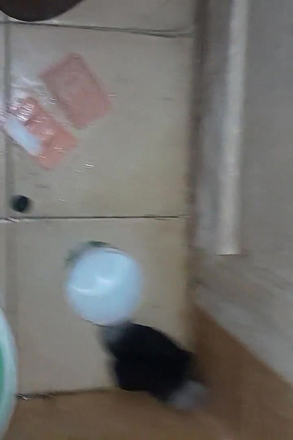 Torba seksi ljubav za borm