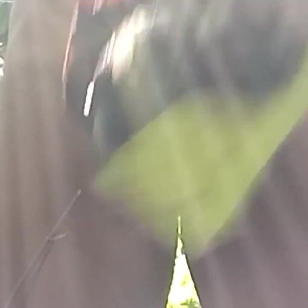 The Tight Hole of the Banana Tree Is Delicious