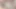 Femboy Leona cumshots Cumpilation