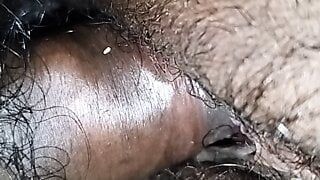 Verdadeiras meninas indianas lambendo buceta e fodendo em close-up