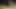 Trampling und Ballbusting 11.2020 Ususa
