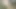 Kurzhaarige Fettsau steht auf Vorhaut lutschen!