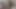 POV selfie video TS sucks TS