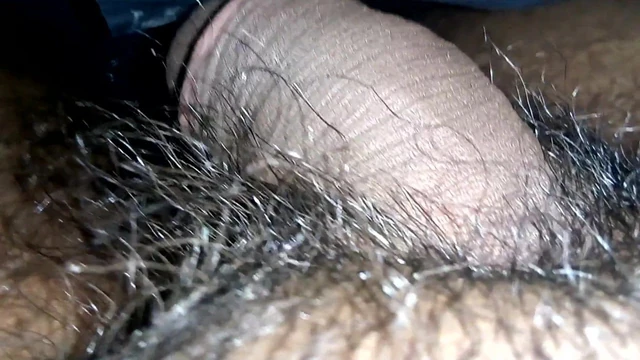 Dick in underwear.  Sleeping penis. Lion in Bushes. Hold my