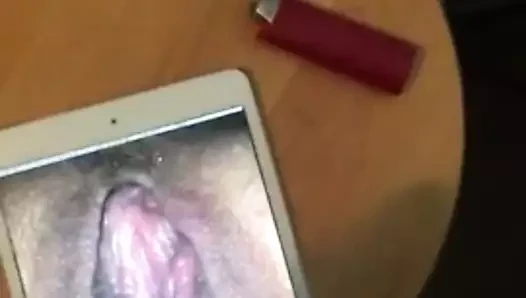 haraç