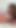 18yobrunette's Petite JOI: Cum for Me, You Dirty Fuck!