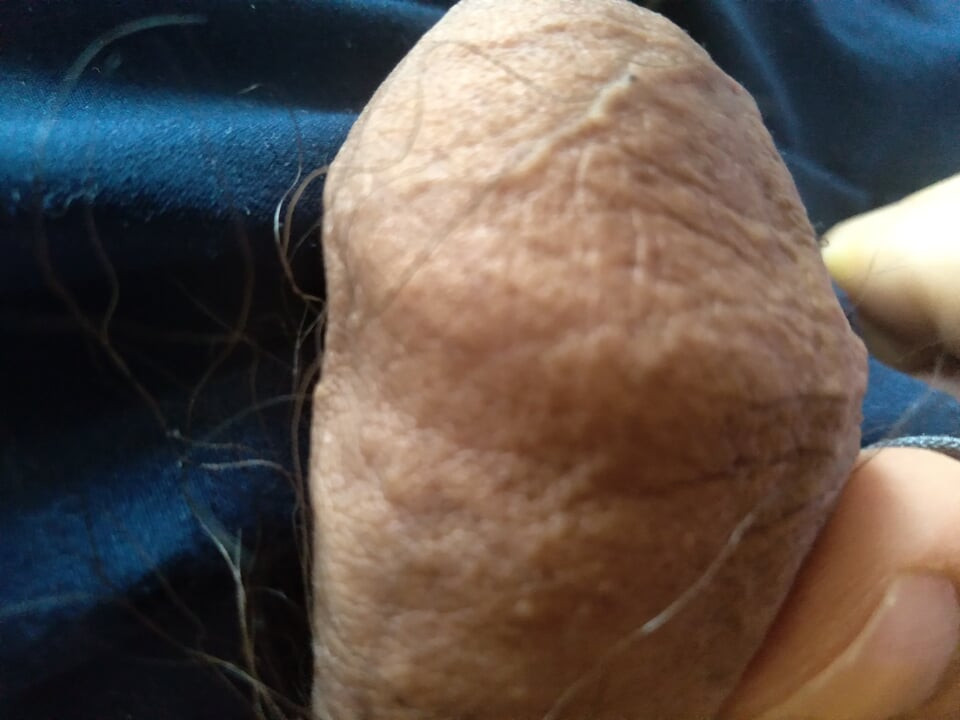 gay man bares his big cock to show it off